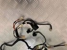 Foto 2 di 5