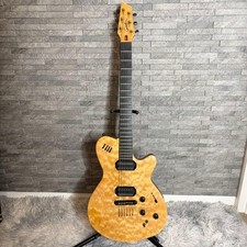 GODIN LGX-SA Godin Piezo with Hard Case