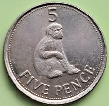 2011 Gibraltar 5p coin Barbary Macaque Rock Ape Five Pence 5 up above Monkey EII