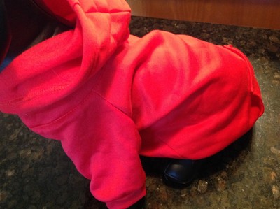 barking basics dog hoodie