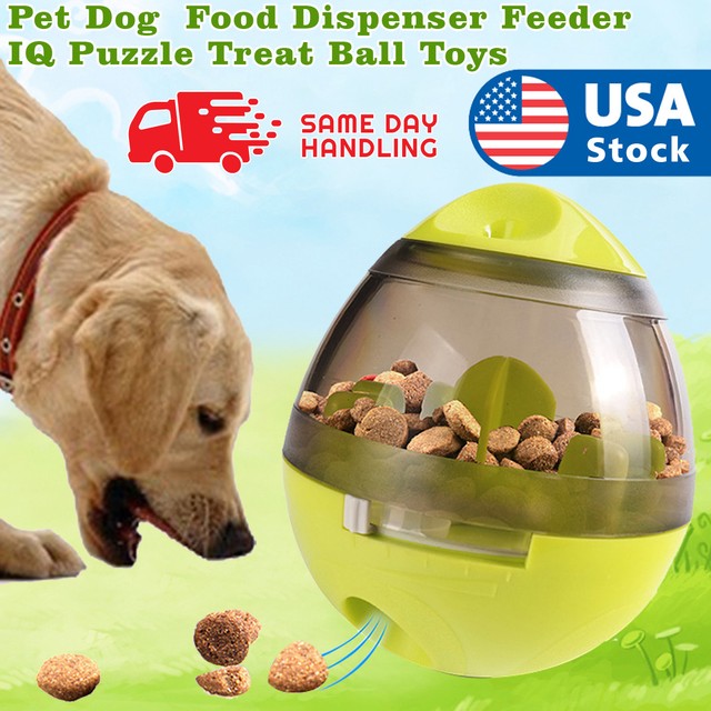 dog food puzzle feeder
