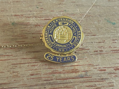 Cooperative Extension Service Anstecknadel 25 Jahre Member Service Award Pullover Pin - Bild 5 von 18