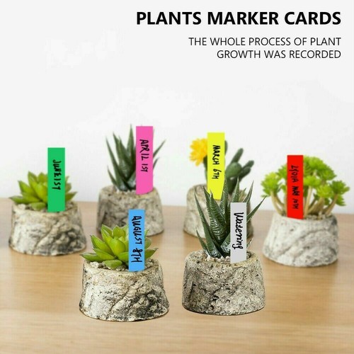 100 X Etichette Plastica Piante Fattorie Parco Fiori Semi Palo Giardino Cartelli Cartellino - Foto 2 di 17