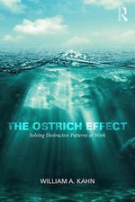The Ostrich Effect by 