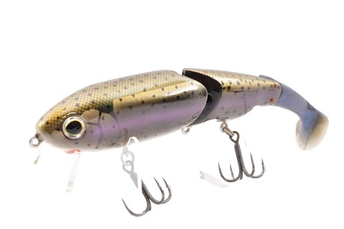 Evergreen Orion OCSC-69H THE STARGAZER | eBay