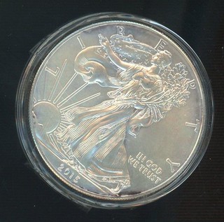2015 Walking Liberty US Eagle One Dollar 1 Oz .999 Fine Silver Coin