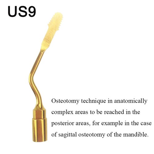 Dental Piezo Surgery Tip for WOODPECKER/ MECTRON Piezosurgery Dental Machine - Picture 33 of 61