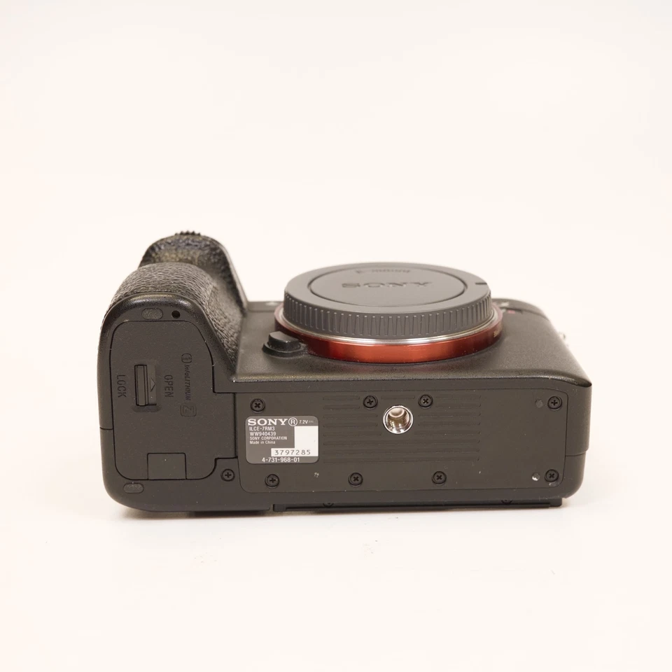 Sony Alpha 7R III, foto 4 di 4