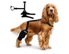 Dog Knee Brace for Torn Acl Hind Leg for Support with Cruciate Ligament  Small