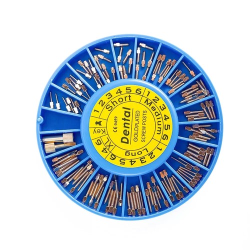 120Pcs Dental Screw Post Gold/Silver Plated Titanium Kit Conical Root Canal Pins - Picture 3 of 23