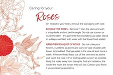  Florist Care Cards 100pack Oasis® Aqua pack Plants Roses Flower Arrangements 