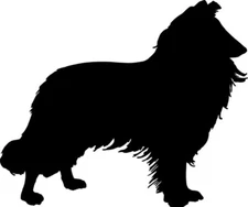 New  Rough Collie Dog Vinyl  Decal for Car Windows crafts signs