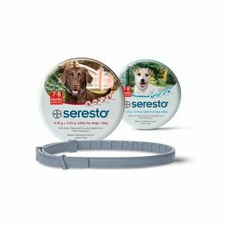 Antiparasitarios collares Bayer para perros