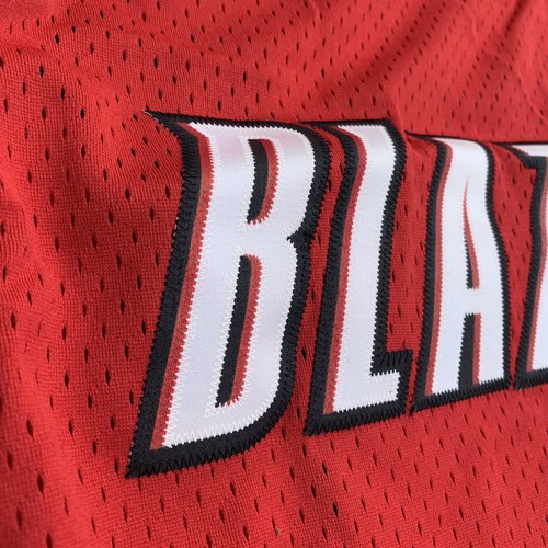 Deadstock Y2K NIKE Portland Trail Blazers Rasheed Wallace #30 VTG Jersey 4XL +2 - Picture 2 of 11