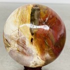 Natural Petrified Wood Polished Stone Quartz Crystal Sphere Ball Healing 1480G — photo 8