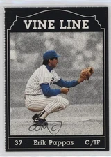 1991 Chicago Cubs Vine Line Erik Pappas #37 Rookie RC 0q3