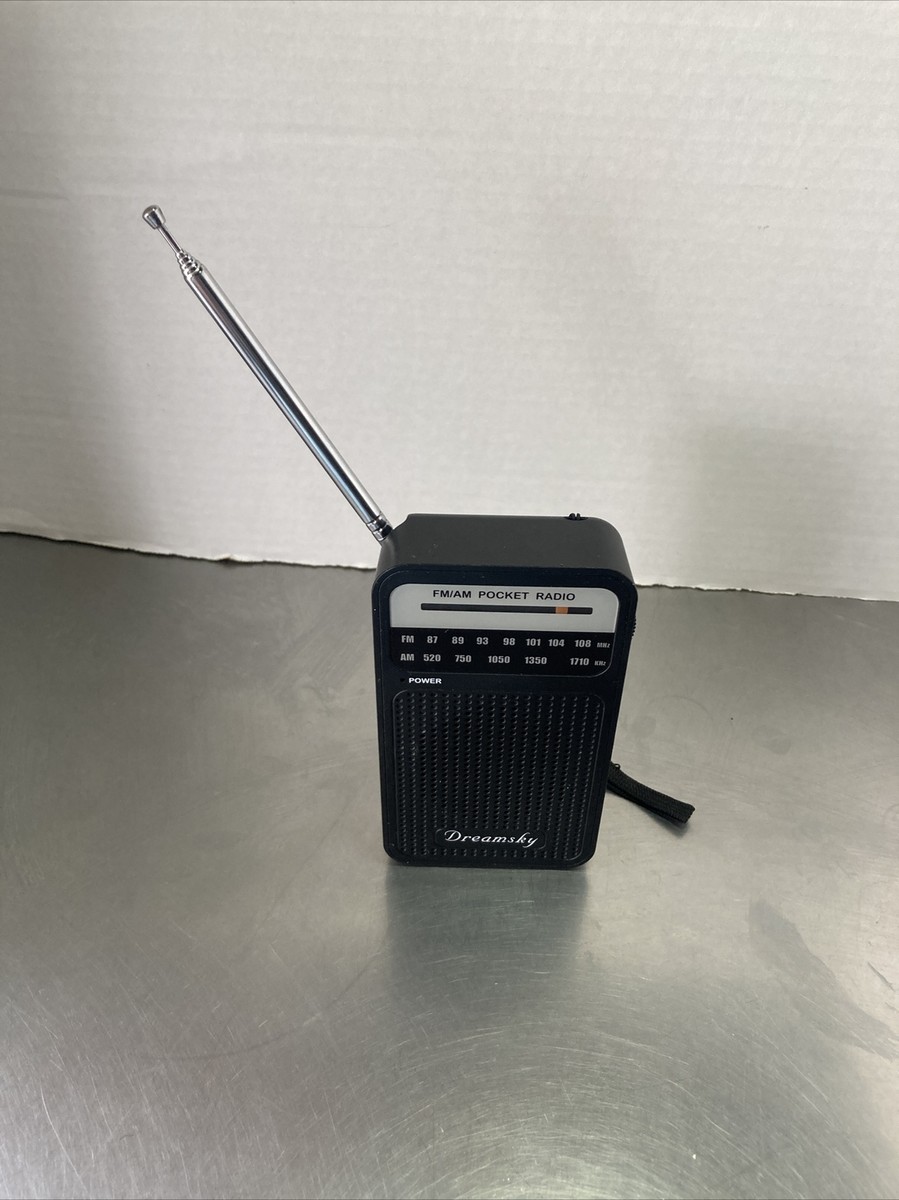 Radio Portable DreamSky AM/FM Avec Bluetooth - Minuterie Sommeil, Alimentation Secteur Ou Piles, Pour Intérieur/extérieur
