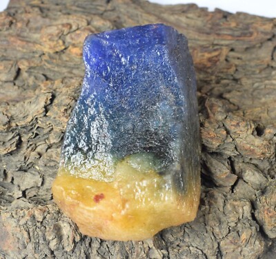 363.40 Ct Natural Bi-Color Sapphire 69 x 43 mm Gemstone Rough