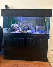 100 gal Glass Marine Aquarium Fish Tank w/ Wood Stand, Hood