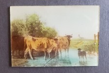  on The Hot Collector