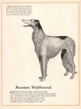1920s Antique Borzoi Print Poem Poetry Print Wessell Russian Wolfhound Art 6220u