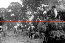 F013995 Farm Workers in action Hay Day UK 1900s