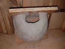Schwalbennest Nisthilfe Mehlschwalbe Holzbeton stabil, gipsgeglättet