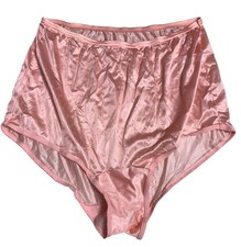 Vintage Sheer Silky Nylon Brief Panties Lace Peach LG Vanity Fair Sissy