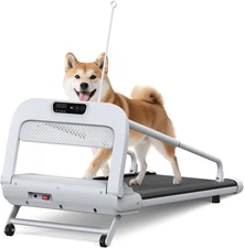 Dog Treadmill for Small Medium Dogs,Pet Running Machine,Dog Indoor Pacer Remote