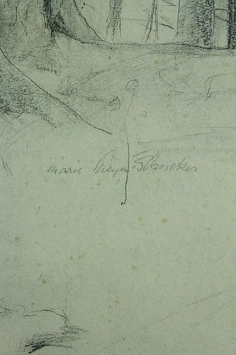 Norddeutsche Künstler Marie Meyer-Glaeseker Neuenburger Urwald Bleistift - Picture 7 of 7
