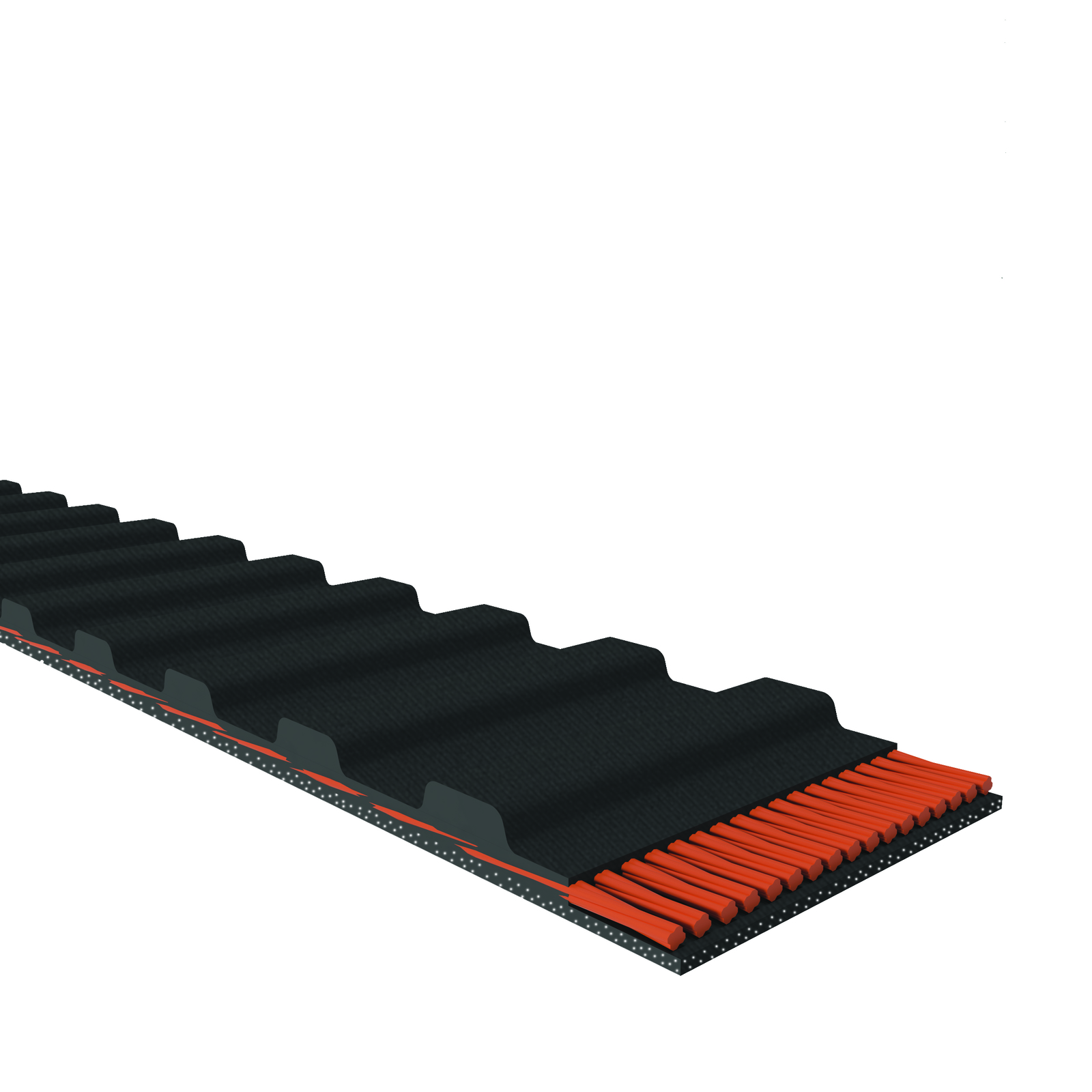 Courroie De Distribution D&D DURA-PREMIUM 500H150 - Pour Transmission Précise, Longue Durée