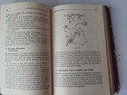 Picture 14 of 24