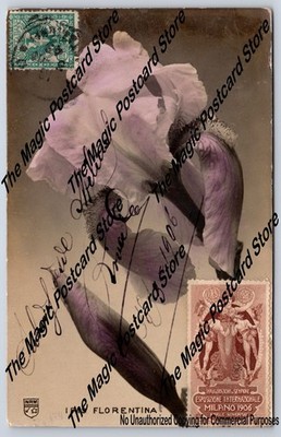 Iris Florentina Milano Italy 1906 Expo Cinderella Stamp Cover to Argentina 1906