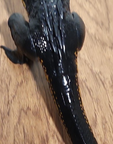 Indoraptor Grab 'n and Growl Jurassic World Park Fallen Kingdom Dinosaur Working - Picture 5 of 10