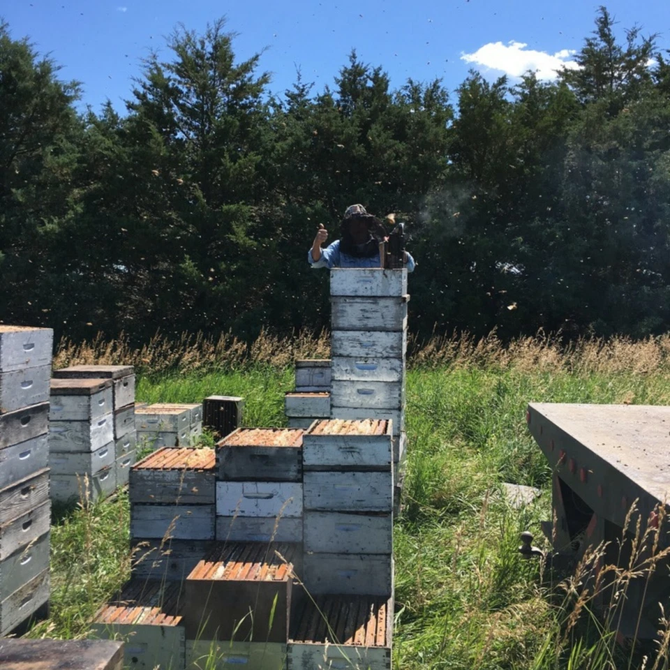 10 Pound 100% Natural American Beeswax Block Made By Our Bees - Image 4 of 4