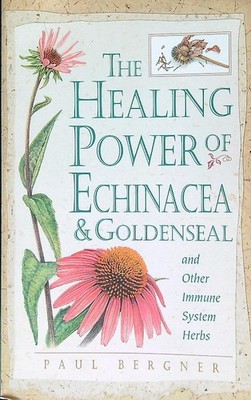 DIE HEILENDE KRAFT VON ECHINACEA, GOLDROBBE UND ANDEREN KRÄUTERN DES IMMUNSYSTEMS