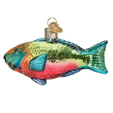 Old World Christmas PARROTFISH (12702) Glass Ornament w/OWC Box