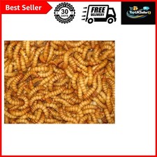 Nutritious Mealworms Live Food 60g Tub - Ideal for All Reptile Breeds