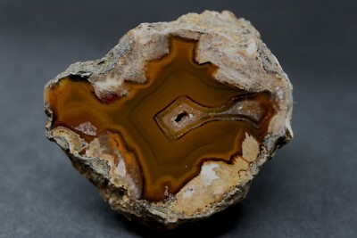 Condor agate collector specimen | eBay