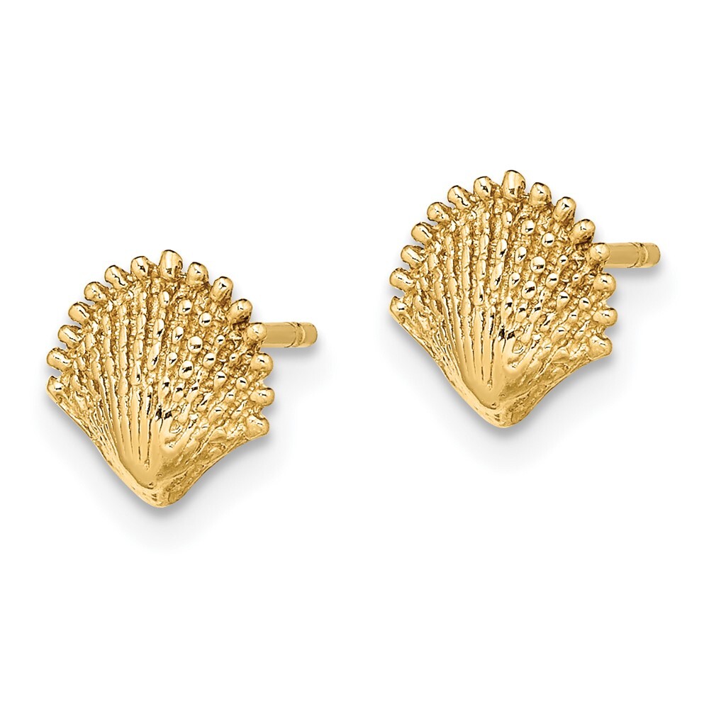 14k Yellow Gold Scallop Shell Stud Earrings for Women 1.01gm L-7.8mm, W-7.7mm