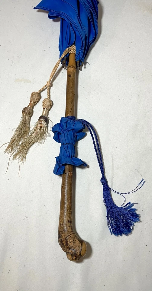 Paraguas antiguo Paragon tallado raíz madera mango madera celuloide azul Foto 2 de 4