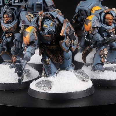 Warhammer 40k - 5 Space Wolves Terminatoren Wolf Guard - Pro-Painted