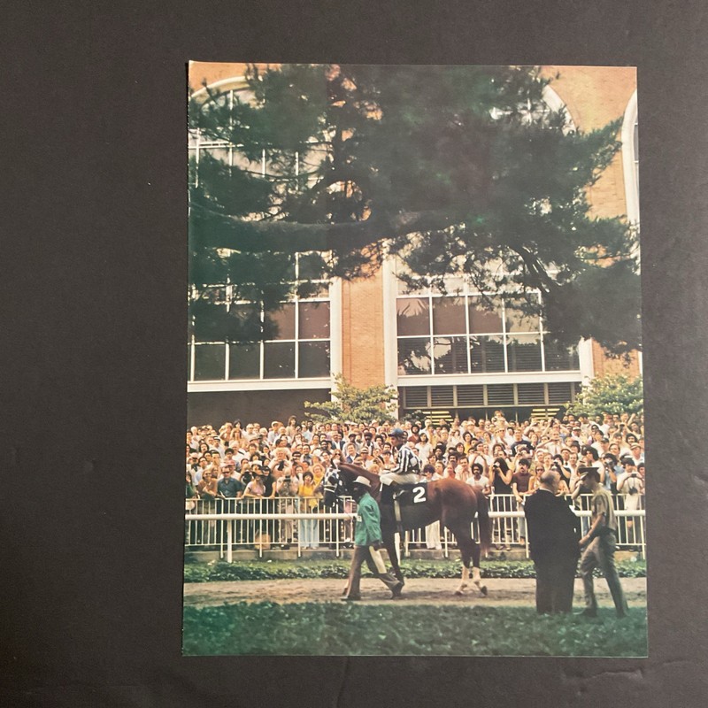 SECRETARIAT  8 X 10 photo Horse  Racing BELMONT PARK PADDOCK BELMONT STAKES