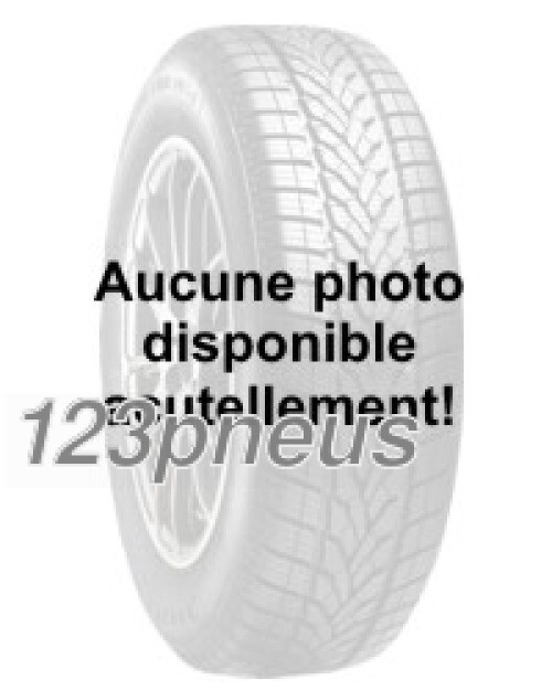 Pneu Zeetex CT8000 4S 225/65 R16C évite le changement été hiver