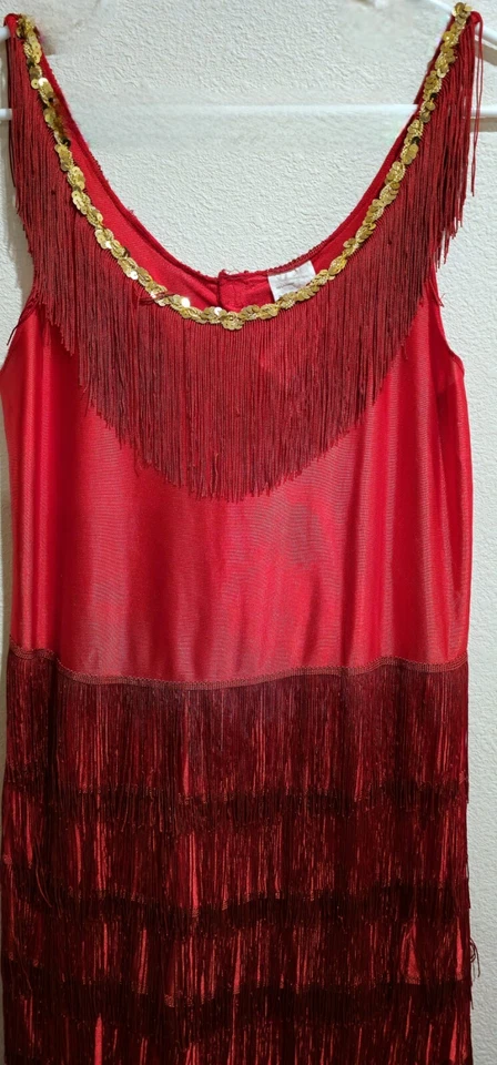 VESTIDO DE DISFRAZ TALLA SM-M ROJO CON FLECOS ALETA RUGIENTE AÑOS 20 con LENTEJUELAS DORADAS ~ NUEVO SIN ETIQUETAS/NUEVO Foto 2 de 4