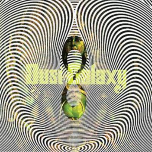 Dust Galaxy Dust Galaxy (CD) Album