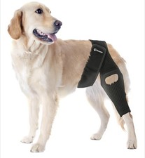 PetCove Dog Knee Brace for Torn Acl Hind Leg   Neoprene Compression, Medium