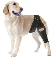 PetCove Dog Knee Brace for Torn Acl Hind Leg — Neoprene Compression, Medium