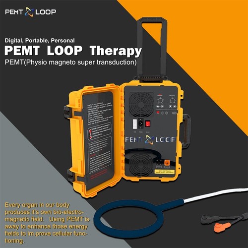 Professional Pain Relief Physio Magneto PEMF Magnetic EMTT Therapy Machine New