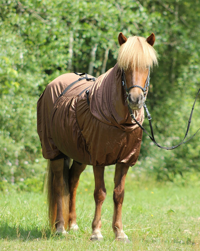 spezielle Isländer Qualitäts Ekzemer Decke für Islandpferde Braun - Bild 3 von 4